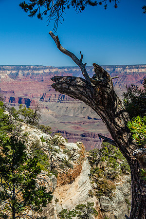 GRAND CANYON-8