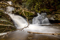GSMNP-31