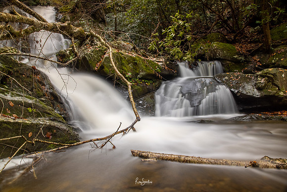 GSMNP-31