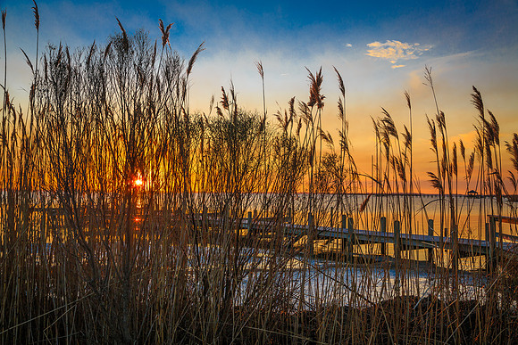 SEASCAPES_OB-11