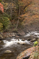 GSMNP-19