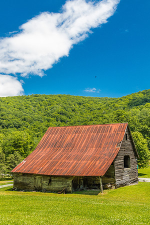 BARNS-11