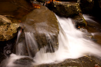 GSMNP-29
