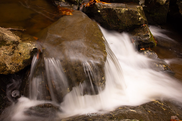 GSMNP-29
