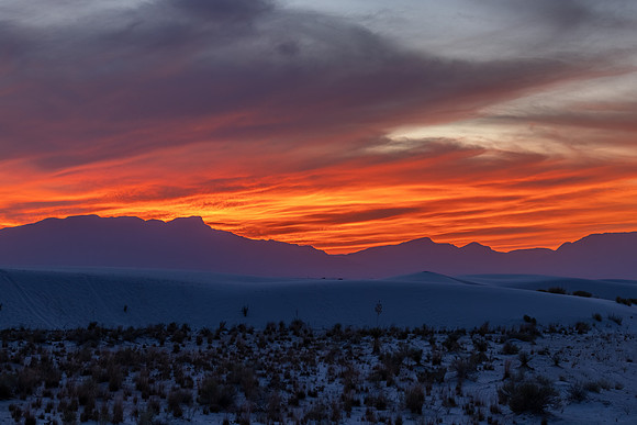 WHITE SANDS NP-11