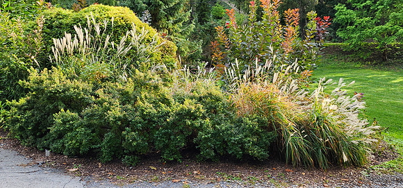 CORNELL BOTANICAL GARDEN-3