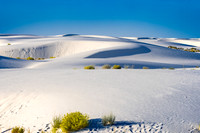 WHITE SANDS NP-2