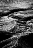 INCHWORM_ARCH-1
