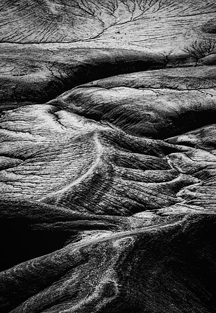 INCHWORM_ARCH-1