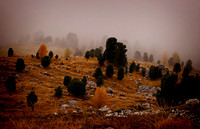 DOLOMITES_21 (101)
