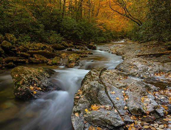 South Mountain State Park, NC