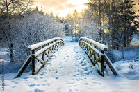 AdobeStock_177547371_Preview