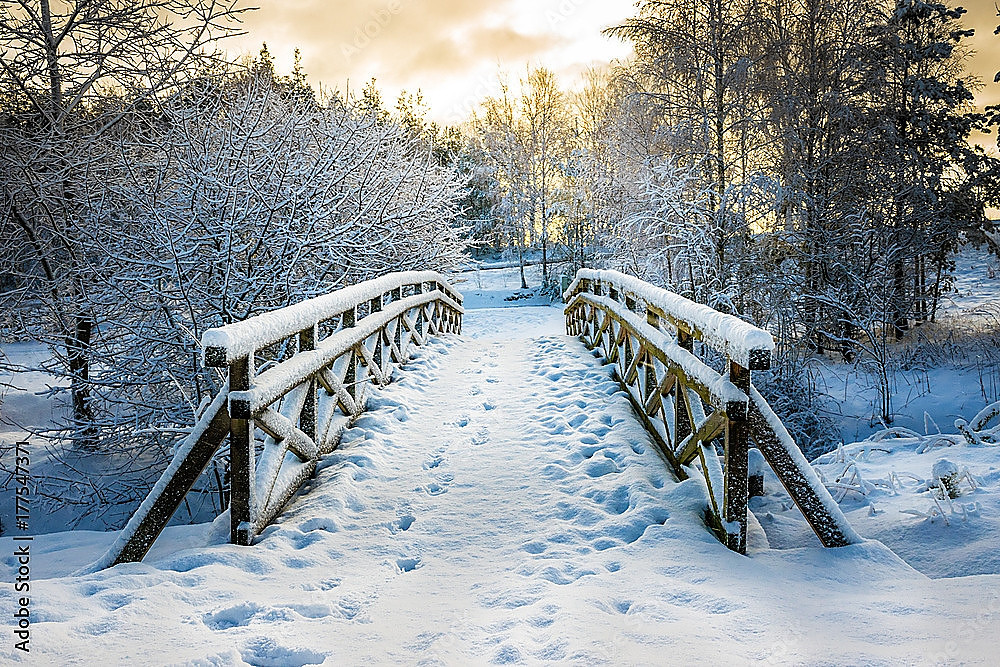 AdobeStock_177547371_Preview
