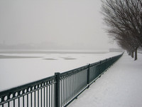 2012-01-21_Cambridge,_Mass_04