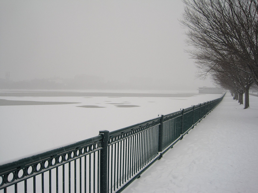 2012-01-21_Cambridge,_Mass_04
