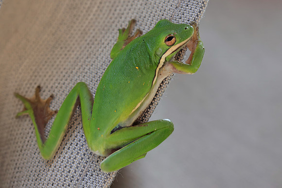 _0250504-topaz-denoise-sharpen-crop