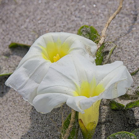 untitled-2353