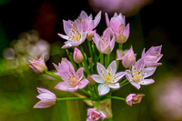 THE BEST OF 2024-19_DxO