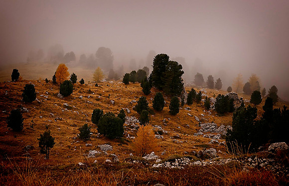 DOLOMITES_21 (101) - Copy