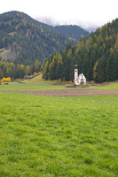DOLOMITES_22 (186) - Copy