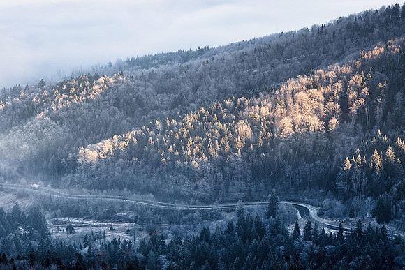 fog-8519078_640