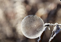 bubble-1893368_640