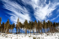 cold-1869197_640