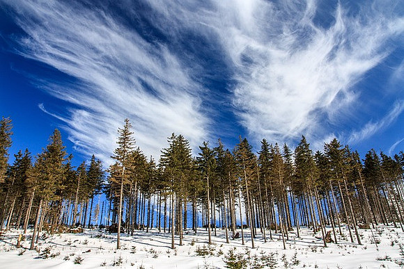 cold-1869197_640