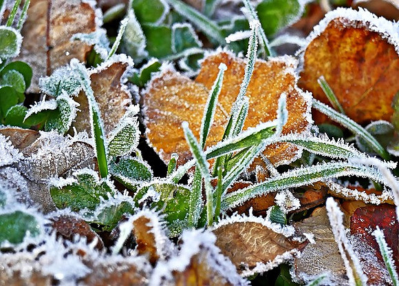 hoarfrost-6795636_640