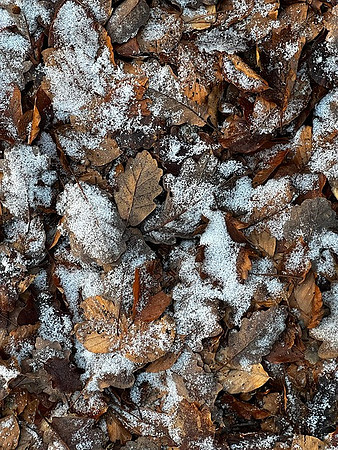 snow-8433815_640
