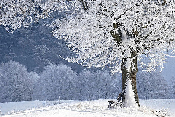 winter-4680354_640