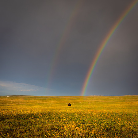 Rainbow (3 of 1)