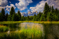 GRAND TETONS (3 of 15)