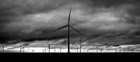 Windmills in B&W