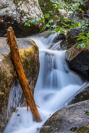 South Mountain State Park, NC