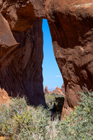 ARCHES NP-16