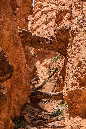 BRYCE CANYON-12