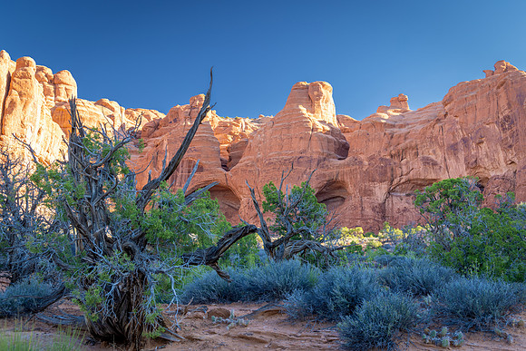 ARCHES-4