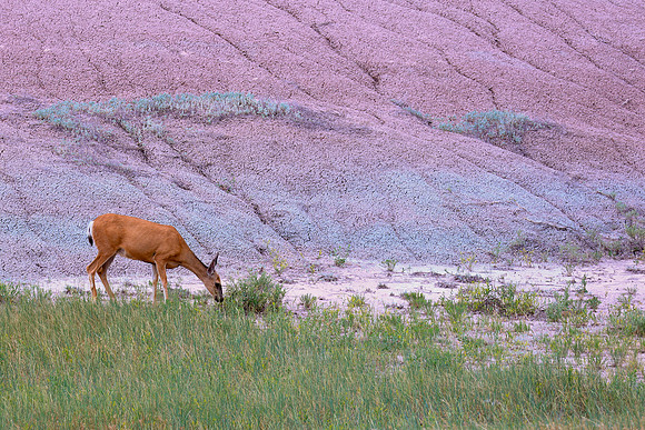 BADLANDS-7