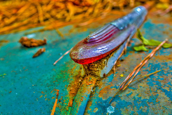 Hood Ornament