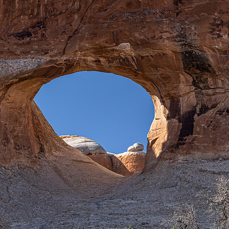 ARCHES-7
