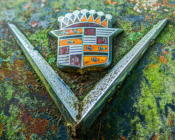 Cadillac Symbol