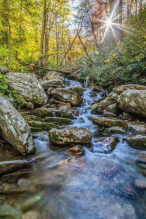 Leconte Creek