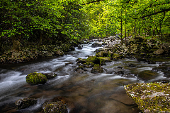 LANDSCAPES-78