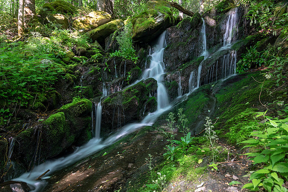 LANDSCAPES-79
