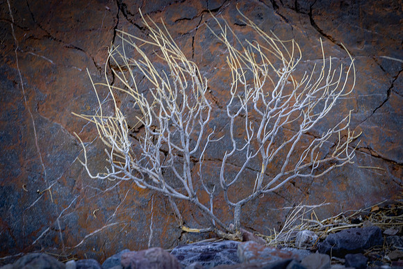DEATH VALLEY-16