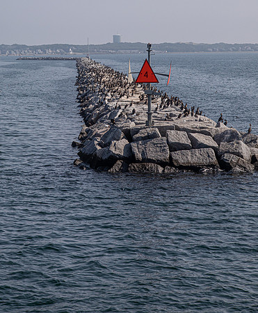 CapeCod-1