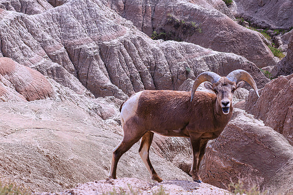 BADLANDS-5