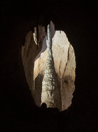 CARLSBAD CAVERNS NP-25