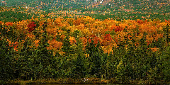ACADIA-8-2